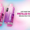 Lost Mary BM6000 Prefilled Vape Kit Wholesale Deals to Boost Sales - Direct Vape Wholesale