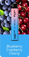 Enjoy Ultra 4000 Puffs Disposable Vape Device Box of 10 - Direct Vape Wholesale