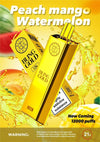 Gold Bling 12,000 Puffs Disposable Vape Pod Box of 5 - Gold Bling 12,000 Puffs Disposable Vape Pod - The Vape Giant - Direct Vape Wholesale